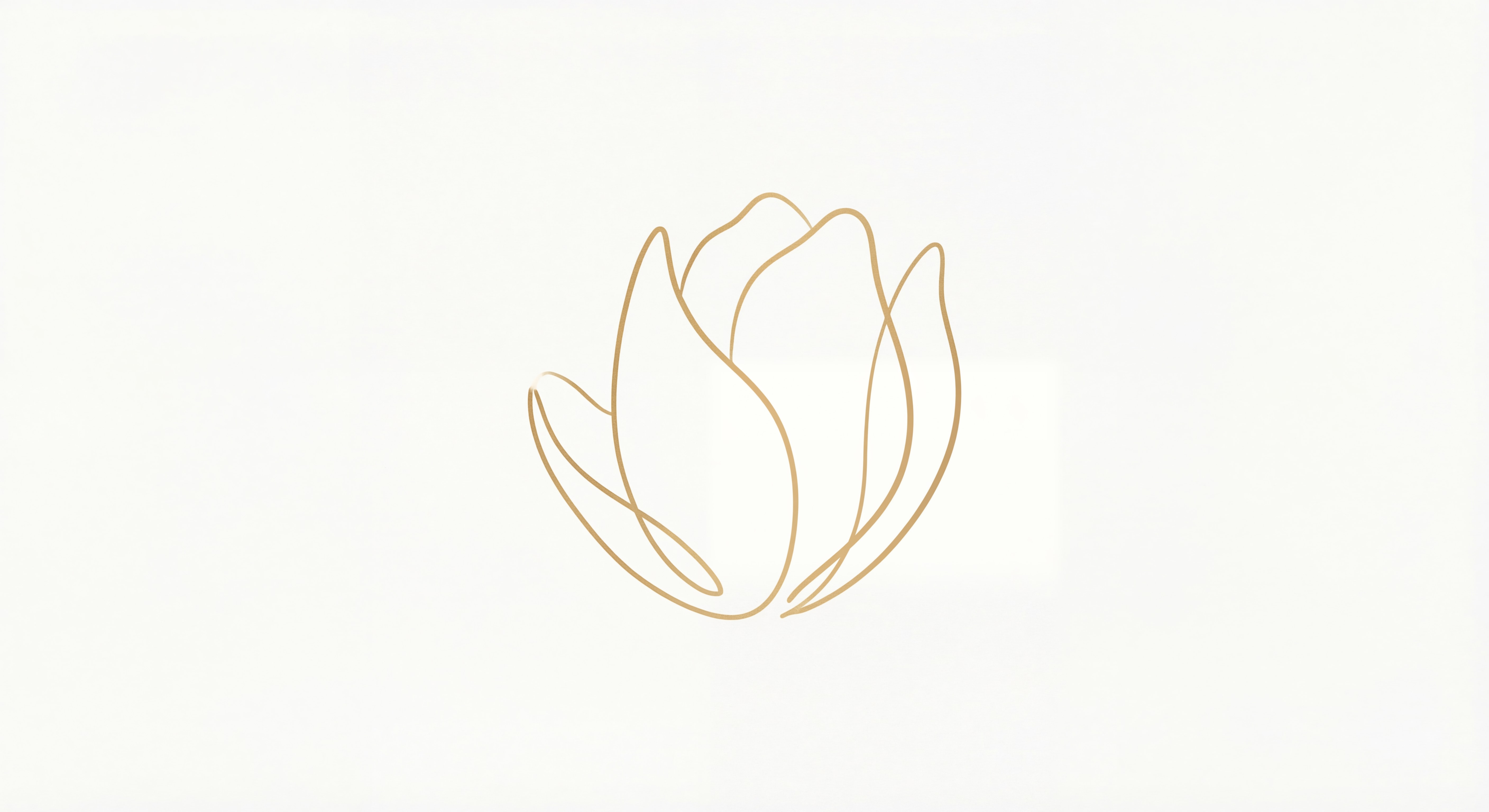 Illustration fleur - zone intime